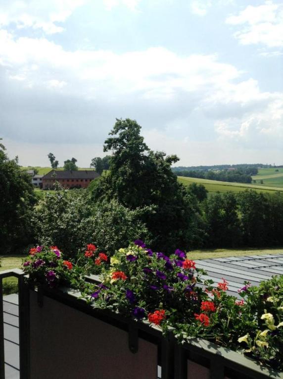 1A Landhotel Schicklberg Kremsmünster Extérieur photo